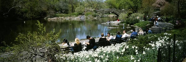 Central Park: Group of people sitting on benches near a pond, Central Park, Manhattan, New York City, New York State, USA by Panoramic Images