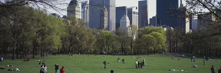 Group of people in a park, Central Park, Manhattan, New York City, New York State, USA by Panoramic Images wall art