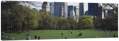 Group of people in a park, Central Park, Manhattan, New York City, New York State, USA Canvas Art Print - Central Park