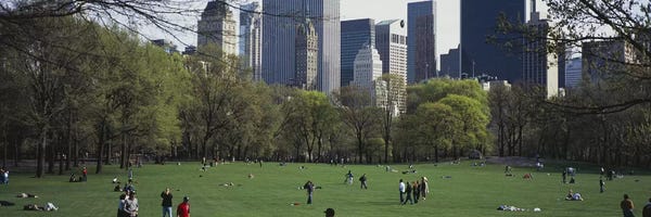 Central Park: Group of people in a park, Central Park, Manhattan, New York City, New York State, USA by Panoramic Images