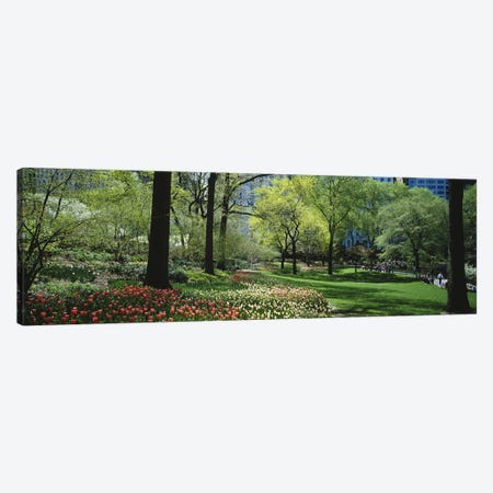 Trees in a park, Central Park, Manhattan, New York City, New York State, USA #2 Canvas Print #PIM5144} by Panoramic Images Canvas Art