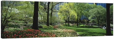 Trees in a park, Central Park, Manhattan, New York City, New York State, USA #2 Canvas Art Print - Central Park