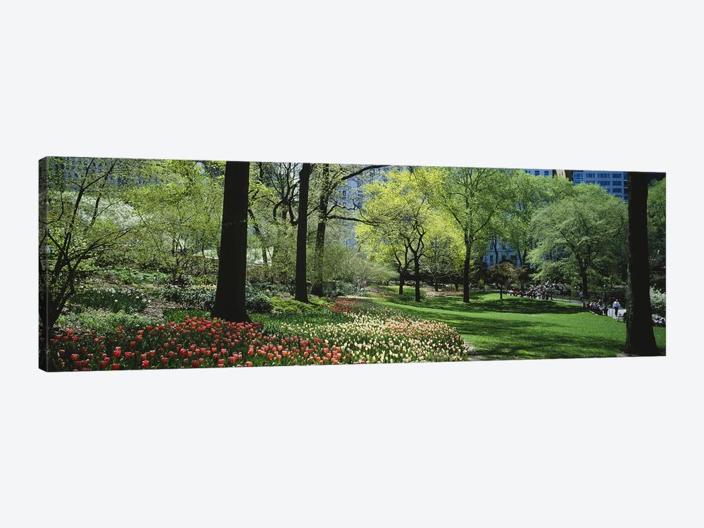 Trees in a park, Central Park, Manhattan, New York City, New York State, USA #2 by Panoramic Images 1-piece Canvas Print