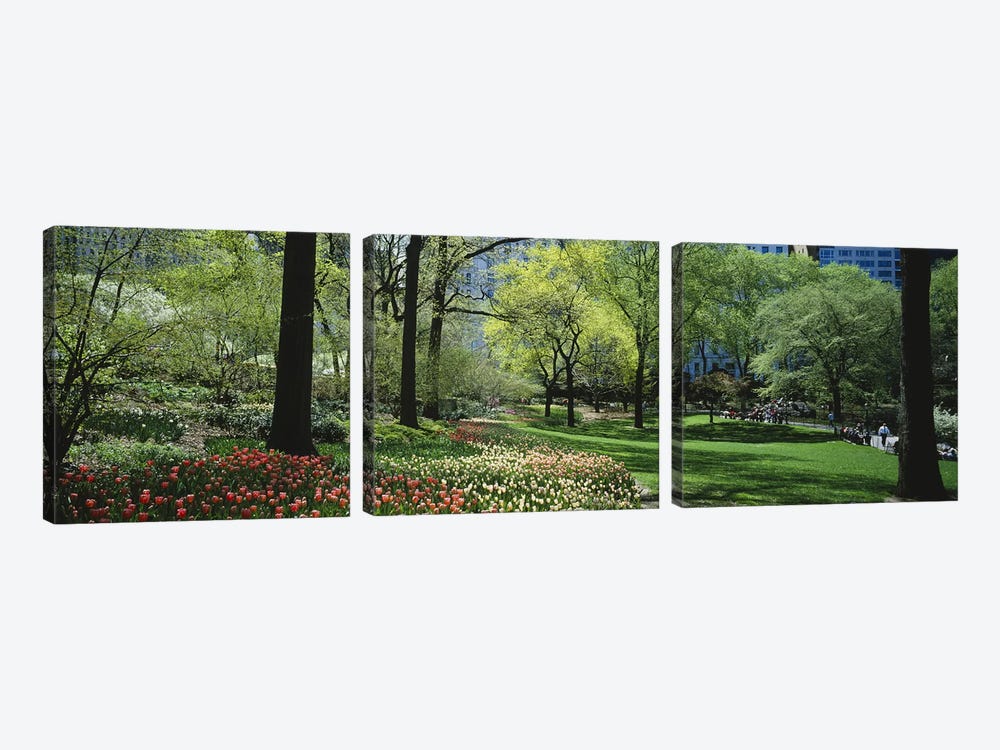 Trees in a park, Central Park, Manhattan, New York City, New York State, USA #2 by Panoramic Images 3-piece Art Print