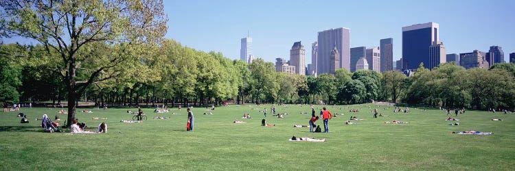 Group Of People In A Park, Sheep Meadow, Central Park, NYC, New York City, New York State, USA