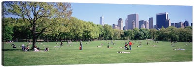 Group Of People In A Park, Sheep Meadow, Central Park, NYC, New York City, New York State, USA Canvas Art Print - Central Park