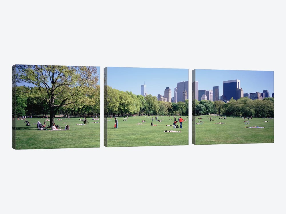 Group Of People In A Park, Sheep Meadow, Central Park, NYC, New York City, New York State, USA by Panoramic Images 3-piece Canvas Print