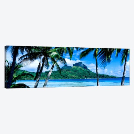 Tropical Landscape, Society Islands, French Polynesia Canvas Print #PIM517} by Panoramic Images Canvas Art Print