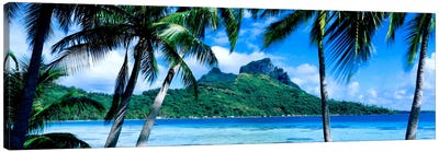 Tropical Landscape, Society Islands, French Polynesia Canvas Art Print - Panoramic Photography