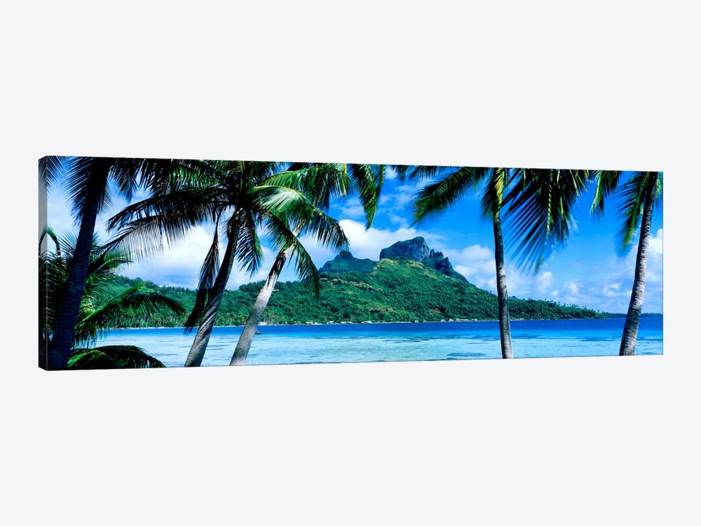 Tropical Landscape, Society Islands, French Polynesia by Panoramic Images 1-piece Canvas Artwork