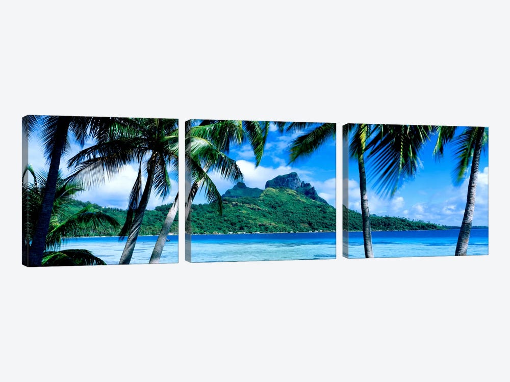 Tropical Landscape, Society Islands, French Polynesia by Panoramic Images 3-piece Canvas Artwork