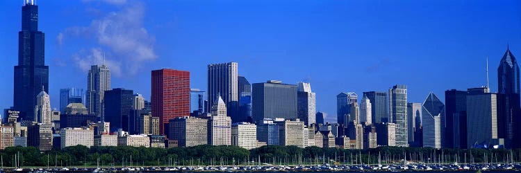 Skyscrapers in a cityChicago, Illinois, USA