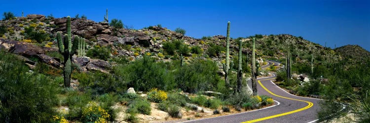 Desert Landscape Along A Winding Road, Phoenix, Arizona, USA