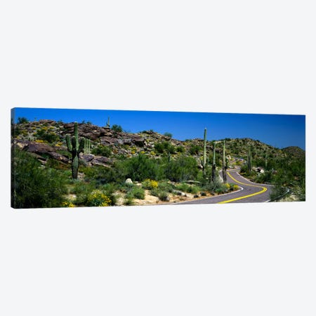 Desert Landscape Along A Winding Road, Phoenix, Arizona, USA Canvas Print #PIM51} by Panoramic Images Canvas Art Print
