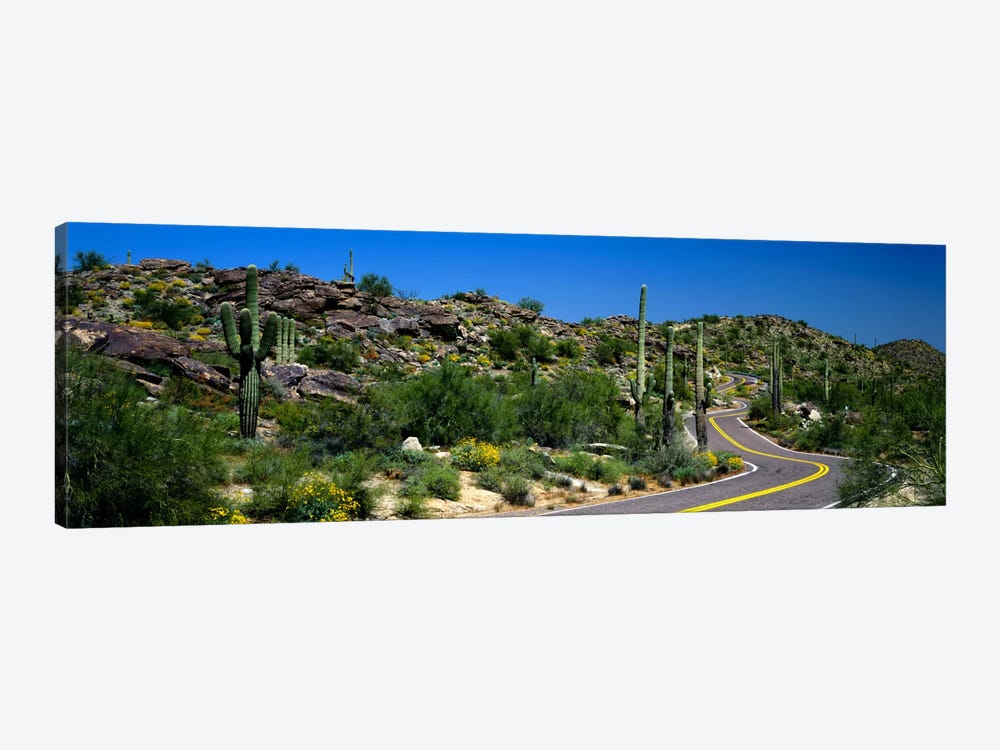 Desert Landscape Along A Winding Road, Phoenix, Arizona, USA by Panoramic Images 1-piece Canvas Artwork