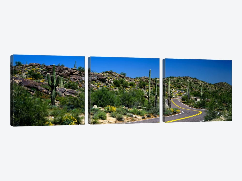 Desert Landscape Along A Winding Road, Phoenix, Arizona, USA by Panoramic Images 3-piece Canvas Art