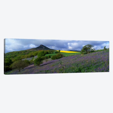Bluebell Flowers In A FieldCleveland, North Yorkshire, England, United Kingdom Canvas Print #PIM5212} by Panoramic Images Canvas Art Print