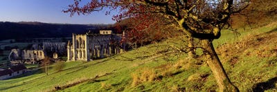 Church on A LandscapeRievaulx Abbey, North Yorkshire, England, United Kingdom by Panoramic Images canvas print