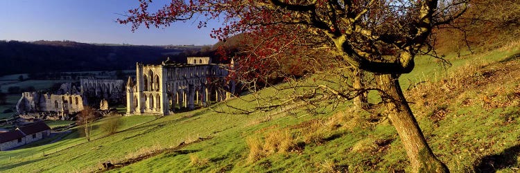 Church on A LandscapeRievaulx Abbey, North Yorkshire, England, United Kingdom