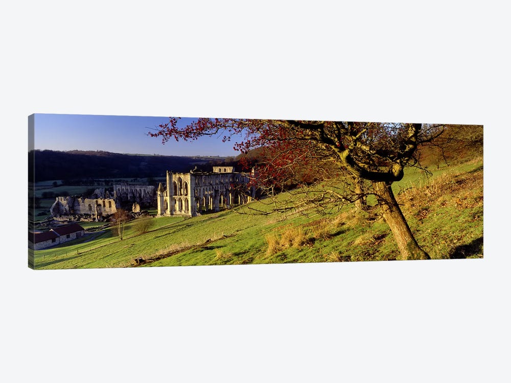 Church on A LandscapeRievaulx Abbey, North Yorkshire, England, United Kingdom by Panoramic Images 1-piece Canvas Artwork