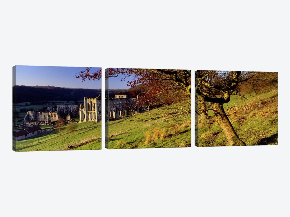 Church on A LandscapeRievaulx Abbey, North Yorkshire, England, United Kingdom by Panoramic Images 3-piece Canvas Art