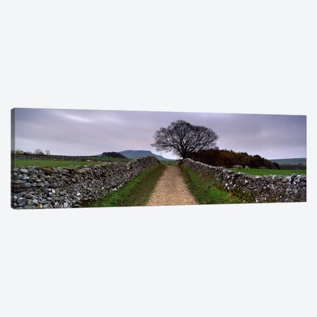 Stone Walls Along A Path, Yorkshire Dales, England, United Kingdom Canvas Print #PIM5222} by Panoramic Images Canvas Artwork