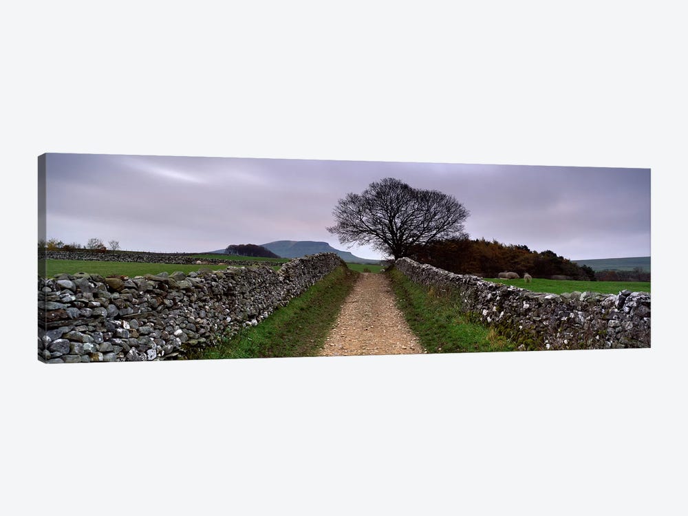 Stone Walls Along A Path, Yorkshire Dales, England, United Kingdom by Panoramic Images 1-piece Canvas Art Print