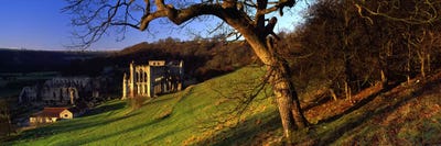 Church on A LandscapeRievaulx Abbey, North Yorkshire, England, United Kingdom by Panoramic Images canvas print