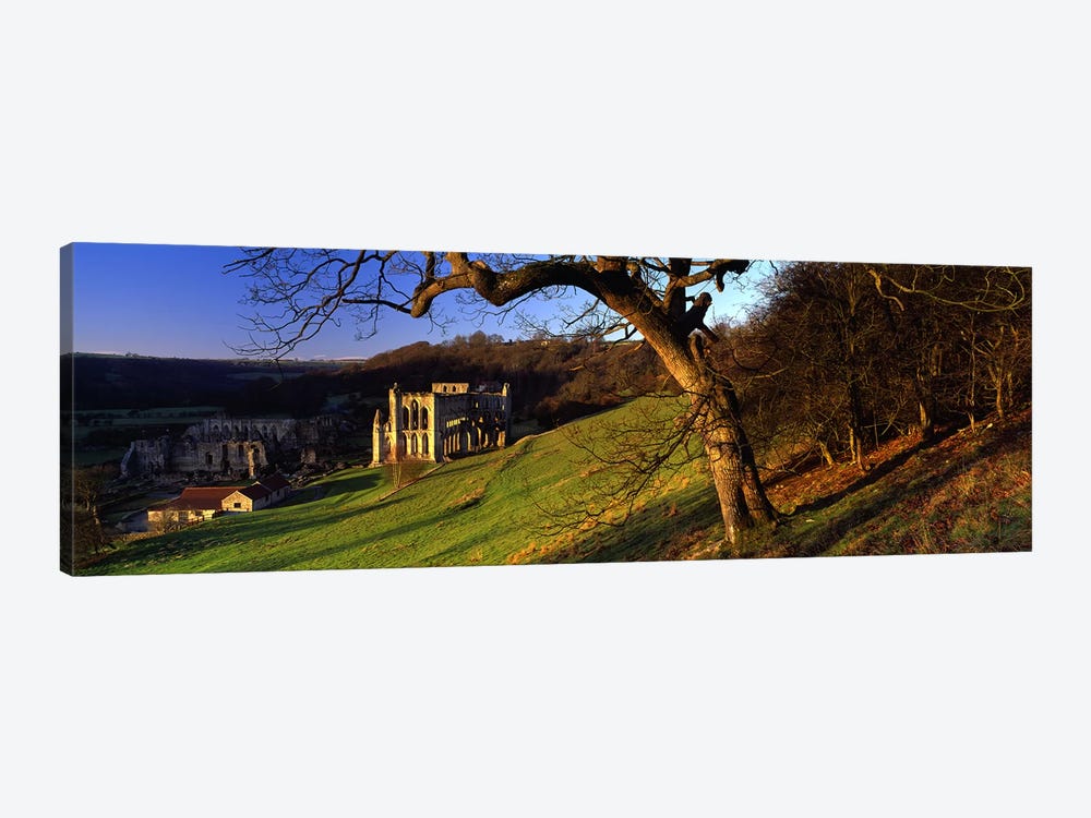 Church on A LandscapeRievaulx Abbey, North Yorkshire, England, United Kingdom by Panoramic Images 1-piece Art Print