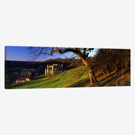 Church on A LandscapeRievaulx Abbey, North Yorkshire, England, United Kingdom Canvas Print #PIM5233} by Panoramic Images Canvas Print