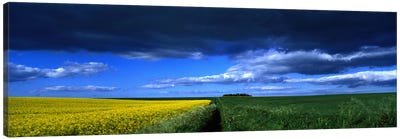 Cloudy Countryside Landscape, Yorkshire Wolds, North Yorkshire, England, United Kingdom Canvas Art Print - England Art