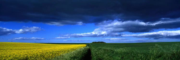 Cloudy Countryside Landscape, Yorkshire Wolds, North Yorkshire, England, United Kingdom