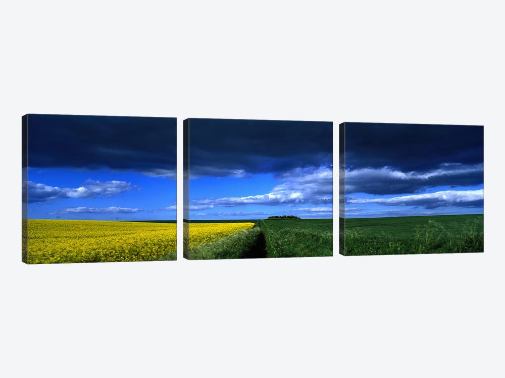 Cloudy Countryside Landscape, Yorkshire Wolds, North Yorkshire, England, United Kingdom by Panoramic Images 3-piece Canvas Print