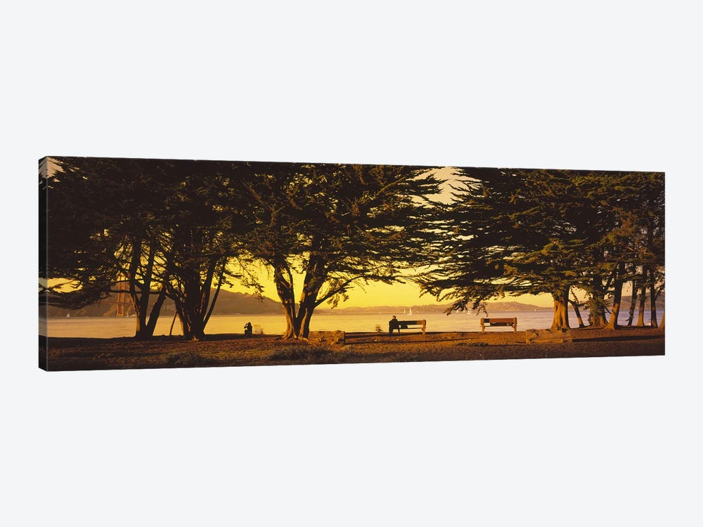 Trees In A Field, Crissy Field, San Francisco, California, USA by Panoramic Images 1-piece Art Print