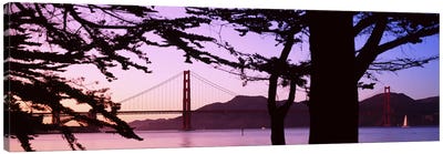 Suspension Bridge Over Water, Golden Gate Bridge, San Francisco, California, USA Canvas Art Print - Famous Bridges
