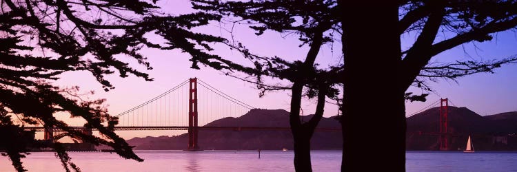 Suspension Bridge Over Water, Golden Gate Bridge, San Francisco, California, USA