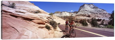 Two people cycling on the road, Zion National Park, Utah, USA Canvas Art Print - Group Art