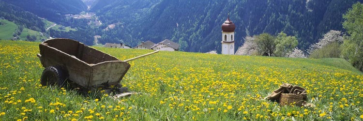 Wheelbarrow In A Field, Tyrol, Austria