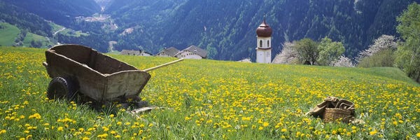 Tyrol: Wheelbarrow In A Field, Tyrol, Austria by Panoramic Images