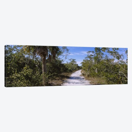 Dirt road passing through a forest, Indigo Trail, J.N. Ding Darling National Wildlife Refuge, Sanibel Island, Florida, USA Canvas Print #PIM5366} by Panoramic Images Canvas Artwork