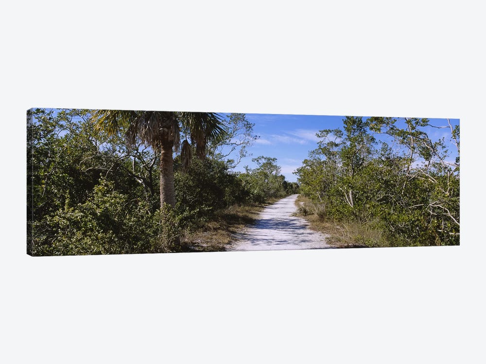 Dirt road passing through a forest, Indigo Trail, J.N. Ding Darling National Wildlife Refuge, Sanibel Island, Florida, USA by Panoramic Images 1-piece Canvas Artwork