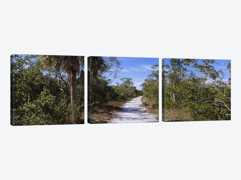 Dirt road passing through a forest, Indigo Trail, J.N. Ding Darling National Wildlife Refuge, Sanibel Island, Florida, USA by Panoramic Images 3-piece Canvas Artwork