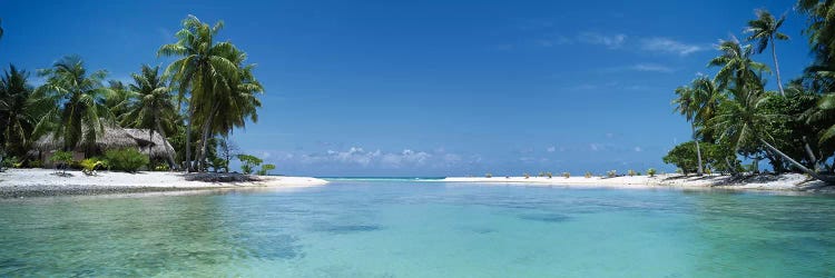 Tropical Landscape, Tikehau, Palliser Islands, French Polynesia