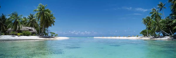 Oceania: Tropical Landscape, Tikehau, Palliser Islands, French Polynesia by Panoramic Images