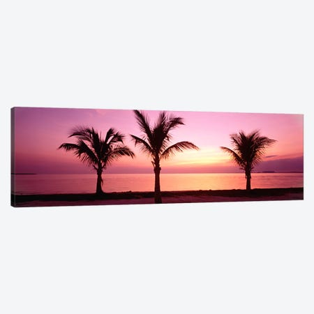 Miami Beach, Florida, USA Canvas Print #PIM53} by Panoramic Images Canvas Print