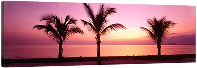 Miami Beach, Florida, USA Canvas Art Print - Colors of the Sunset