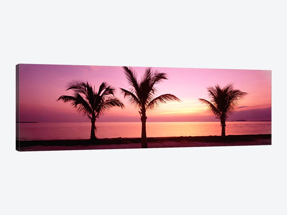 Miami Beach, Florida, USA by Panoramic Images 1-piece Canvas Art