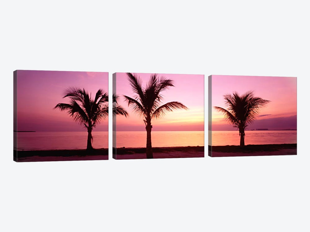 Miami Beach, Florida, USA by Panoramic Images 3-piece Canvas Artwork