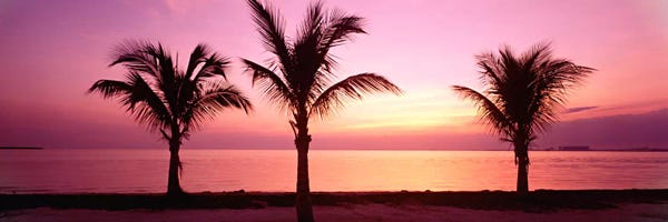 Miami: Miami Beach, Florida, USA by Panoramic Images