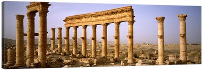 Old ruins on a landscape, Palmyra, Syria Canvas Art Print